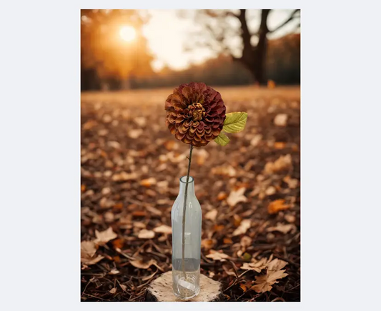 Dried Look Dahlia Stem