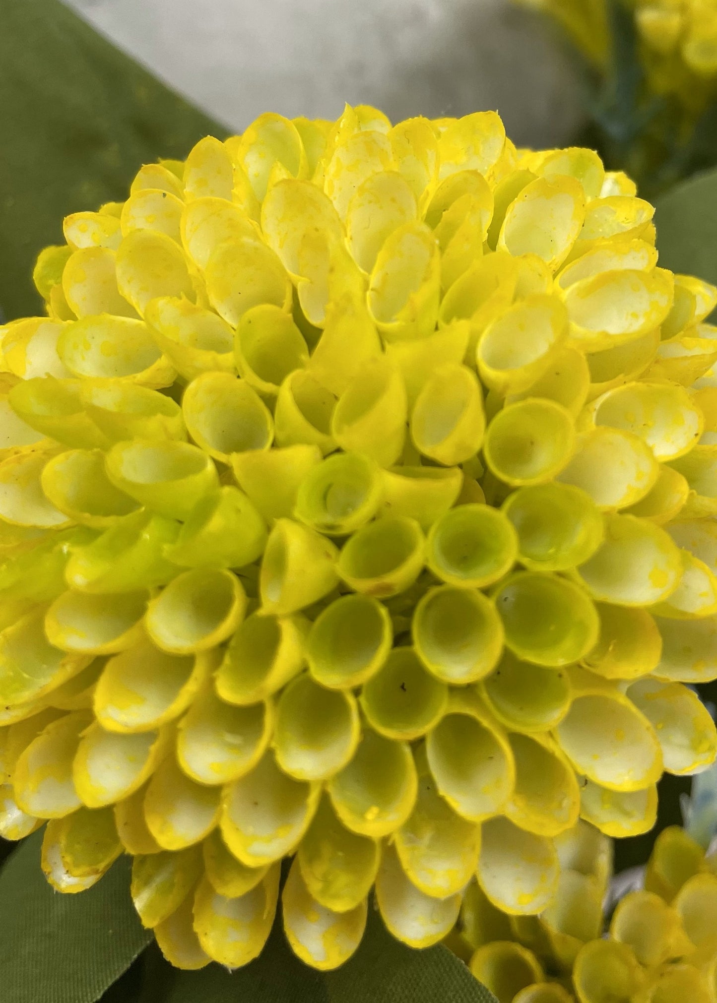 Honey Comb Bundle - yellow