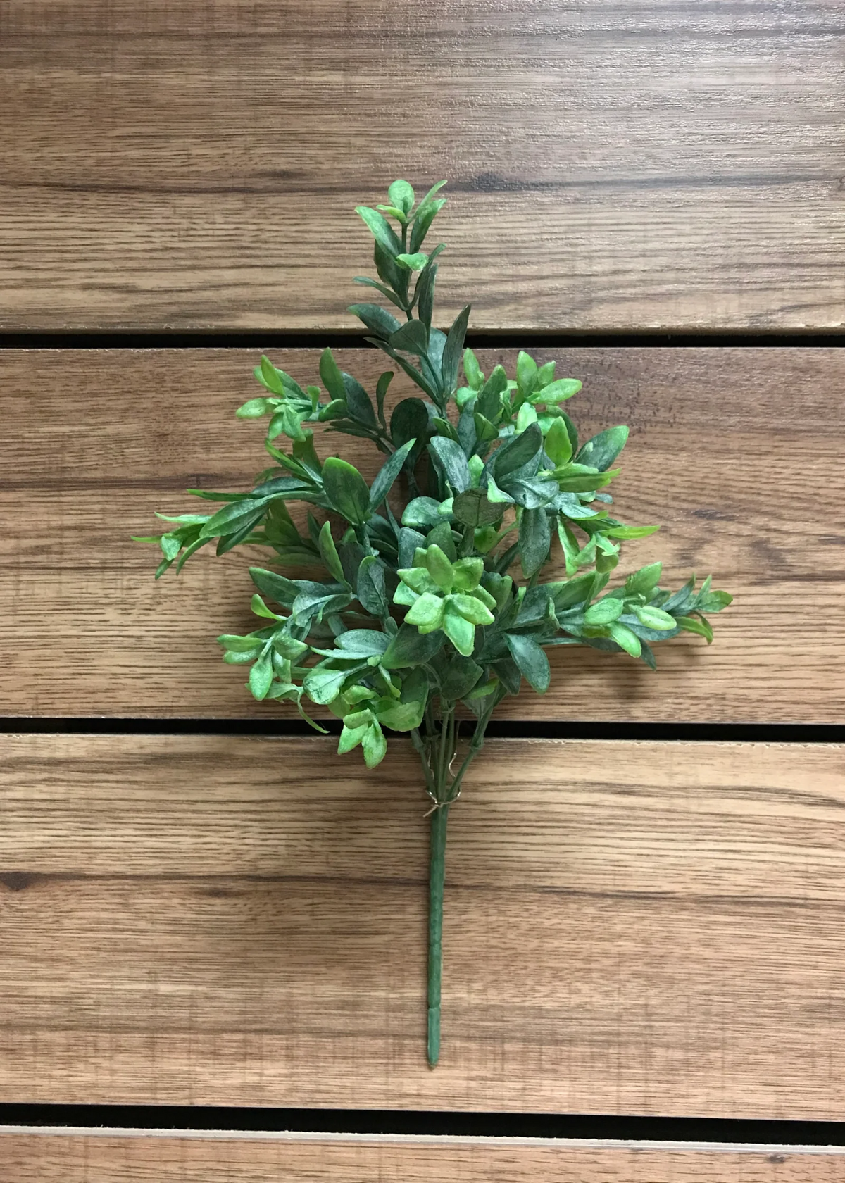 15” Ruscus Bush