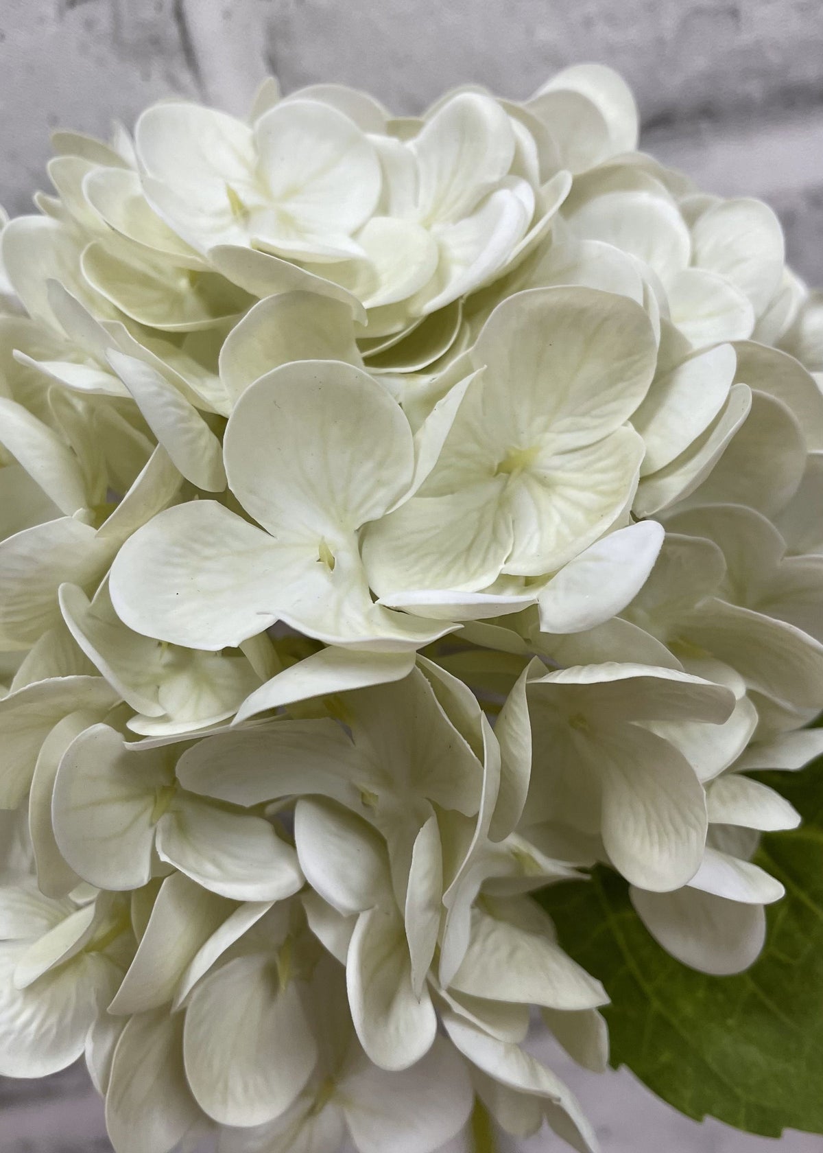 Cream Fresh Touch Hydrangea Stem
