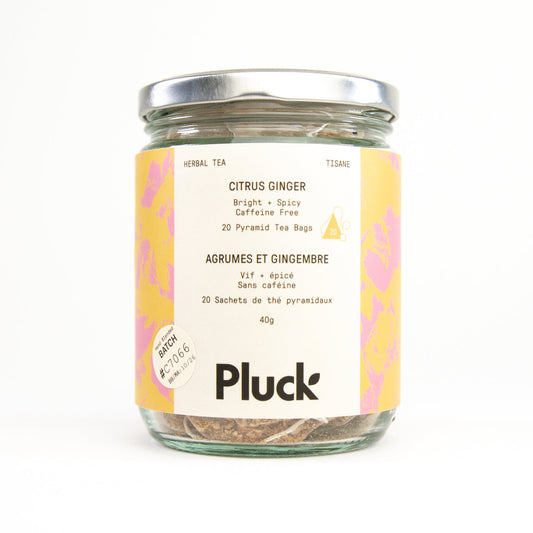 Pluck Tea - Citrus Ginger