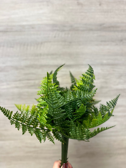 Mini Fern