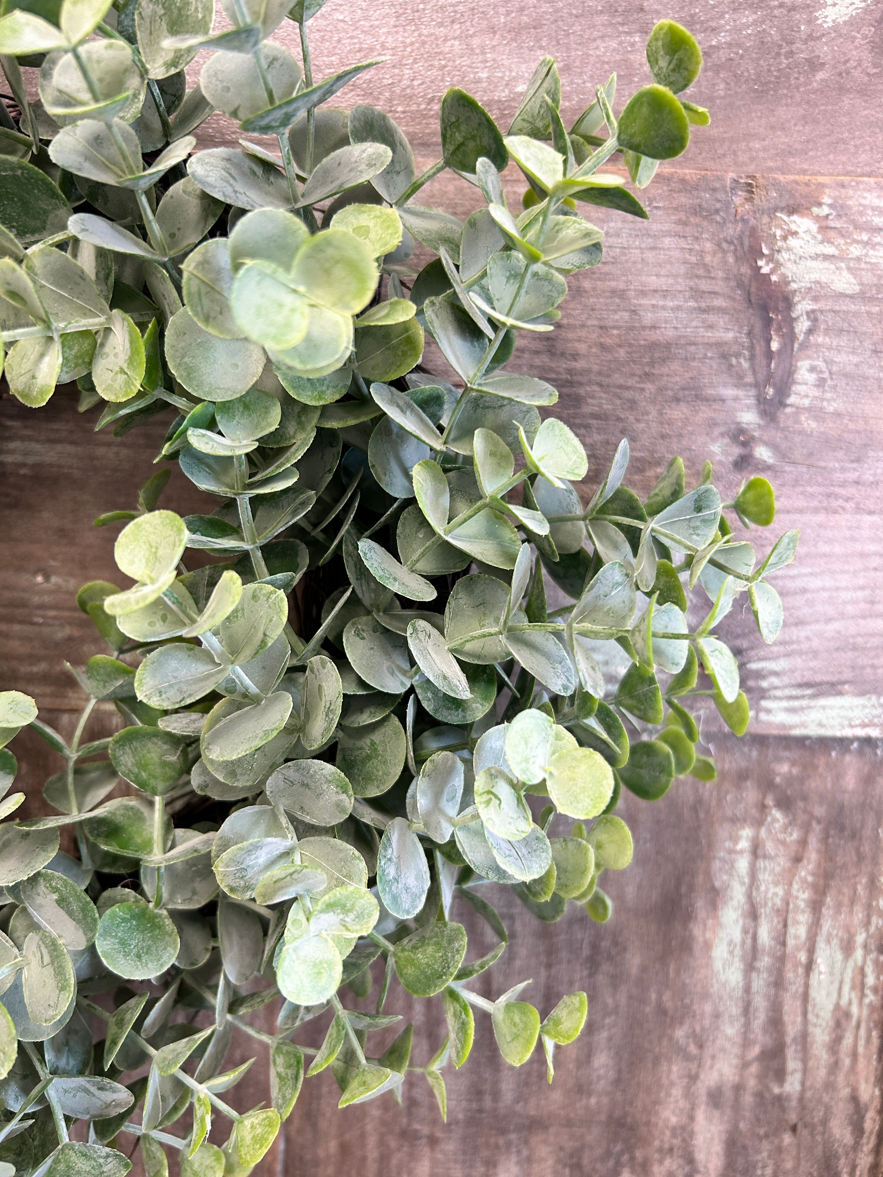 Baby Leaf Eucalyptus Wreath