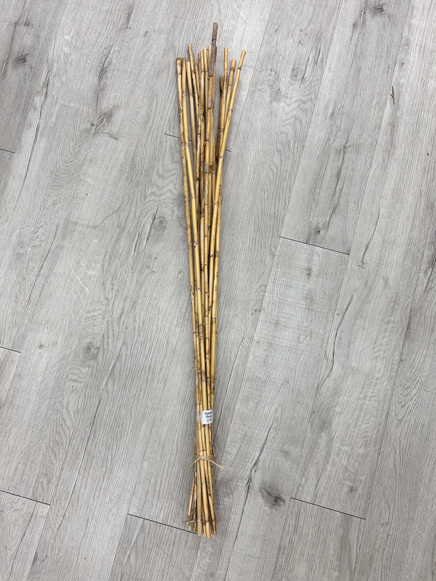 Bamboo Bunch