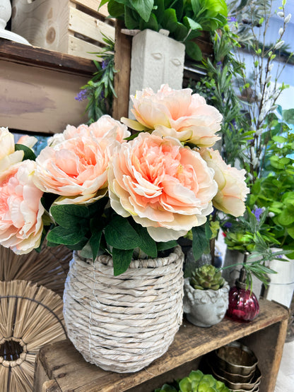 Coral Peony Bush