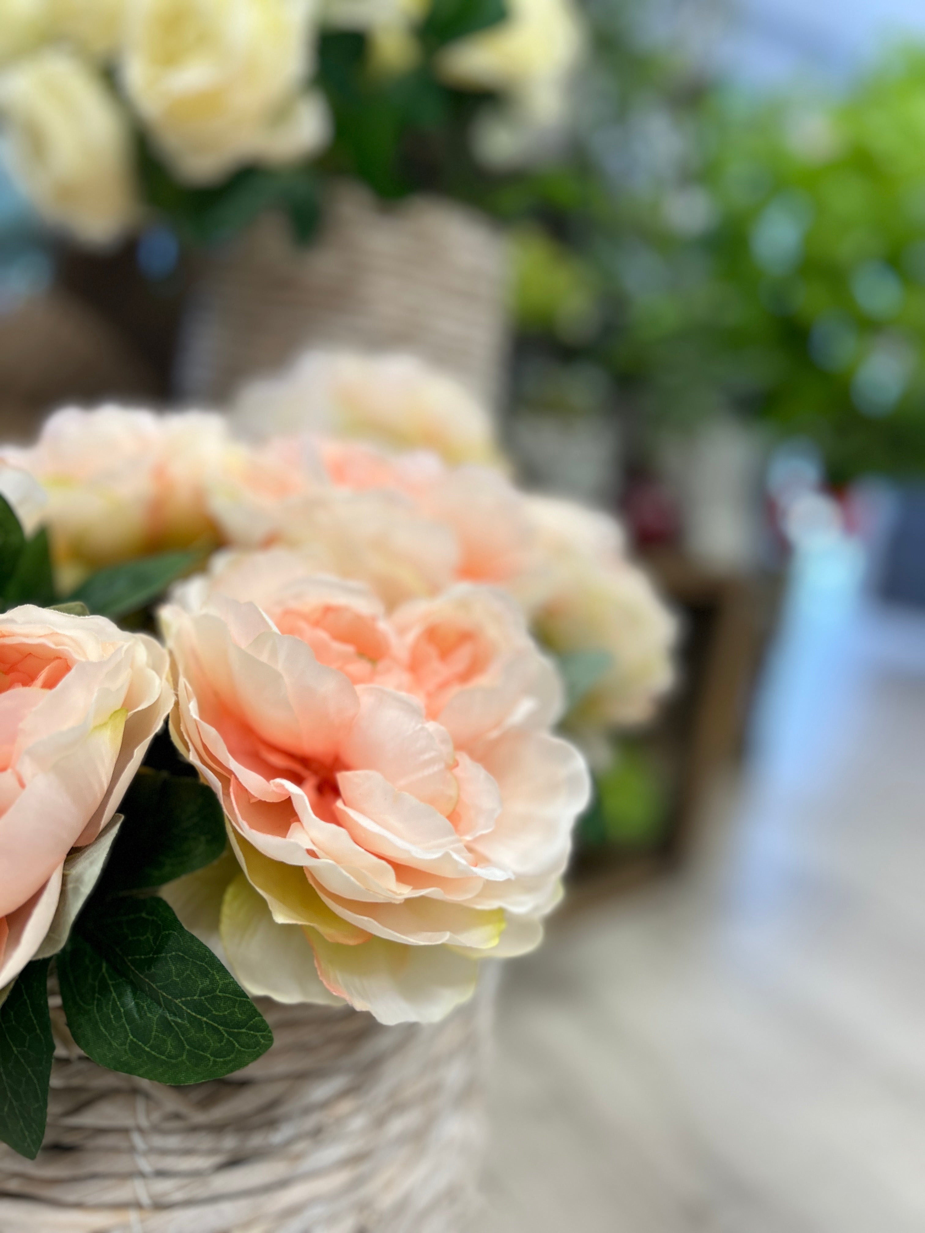 Coral Peony Bush