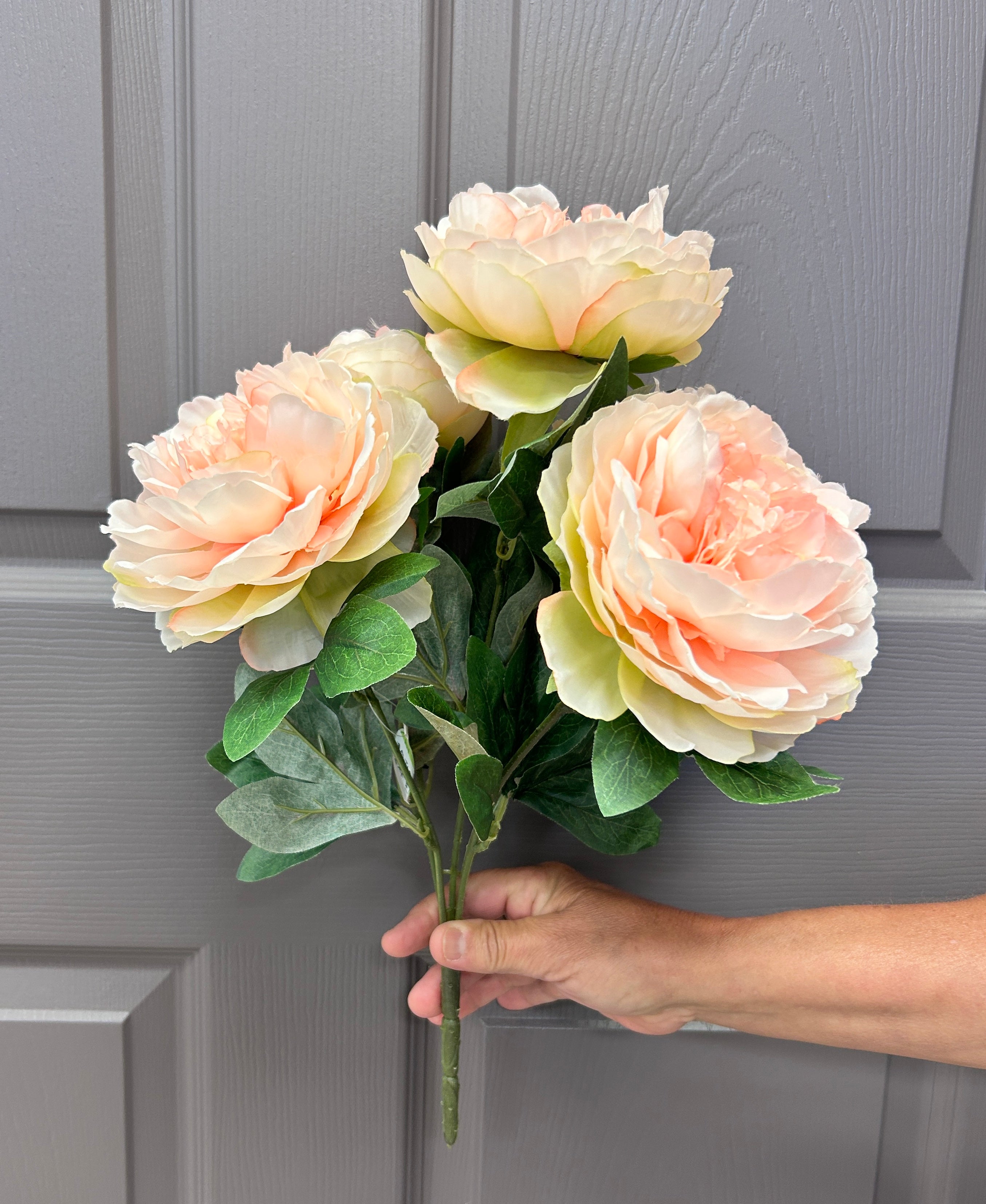 Coral Peony Bush