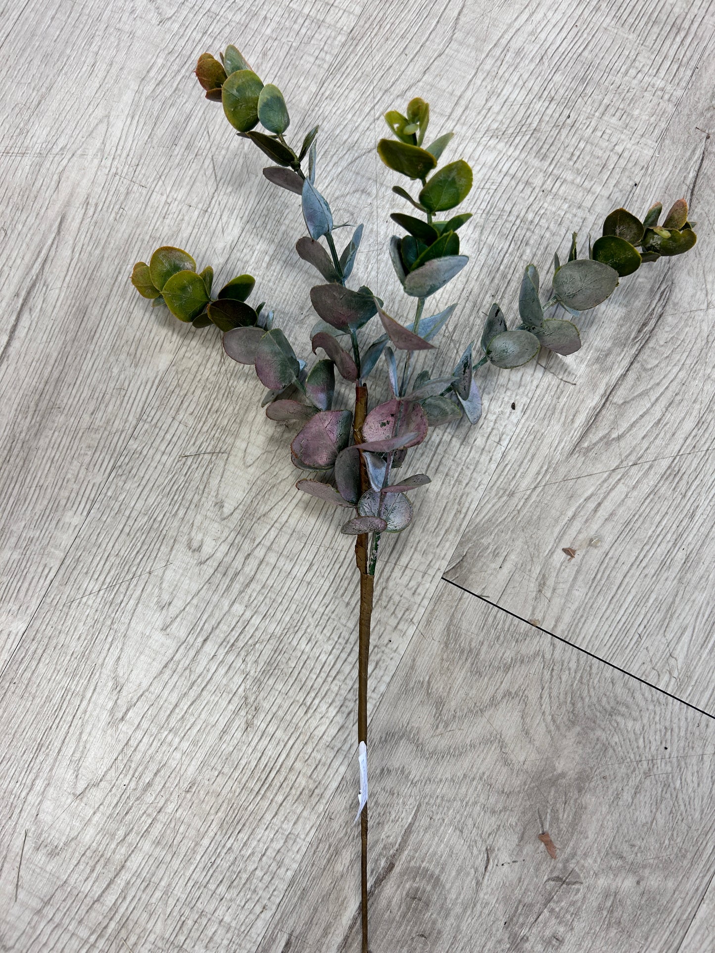 Eucalyptus Pick Green Burgundy