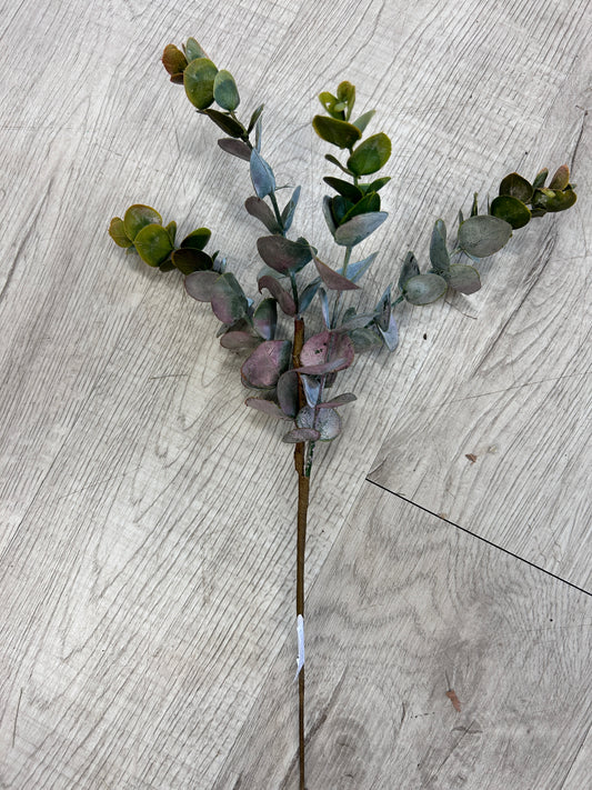 Eucalyptus Pick Green Burgundy