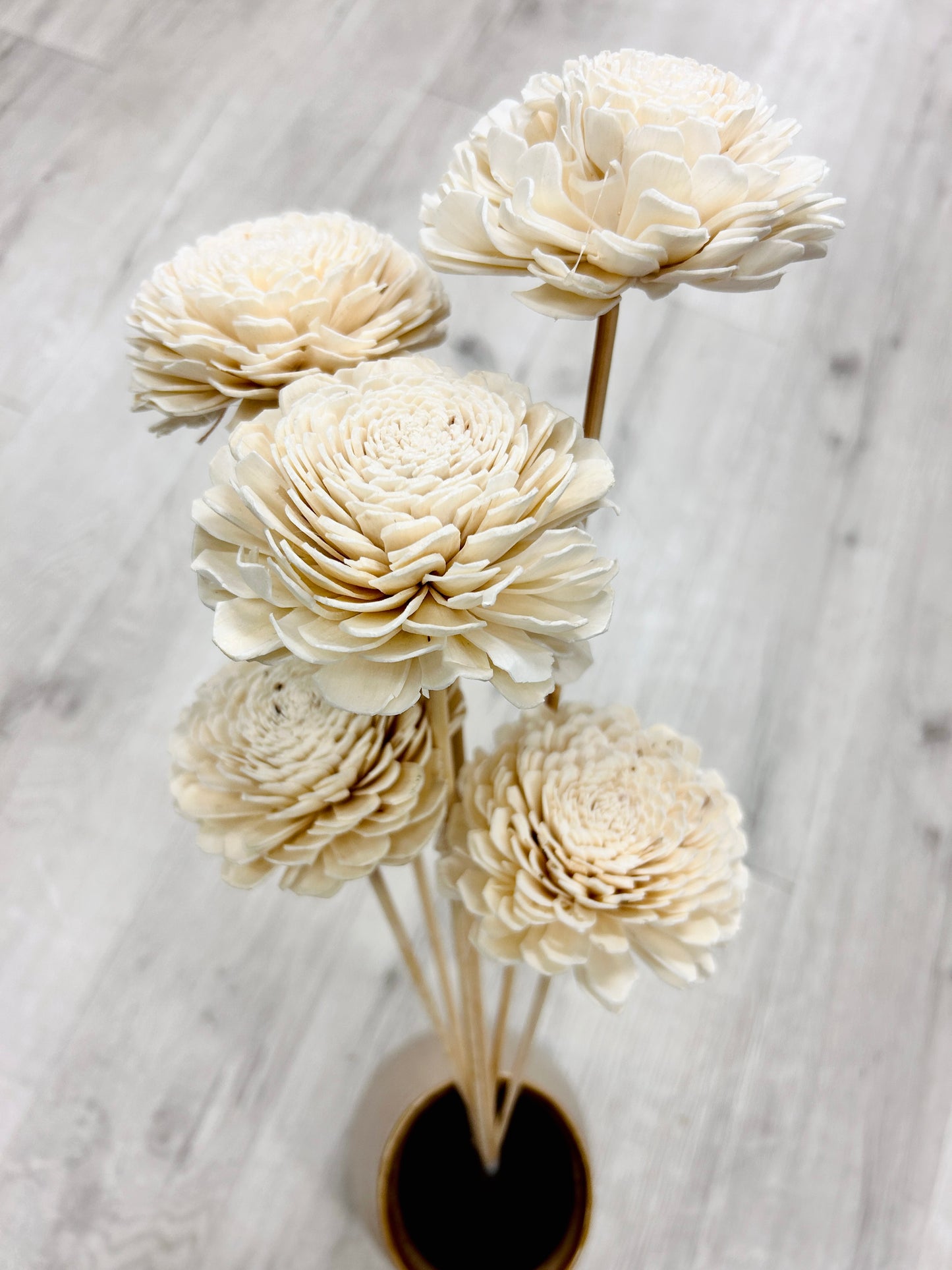 Beli Flower