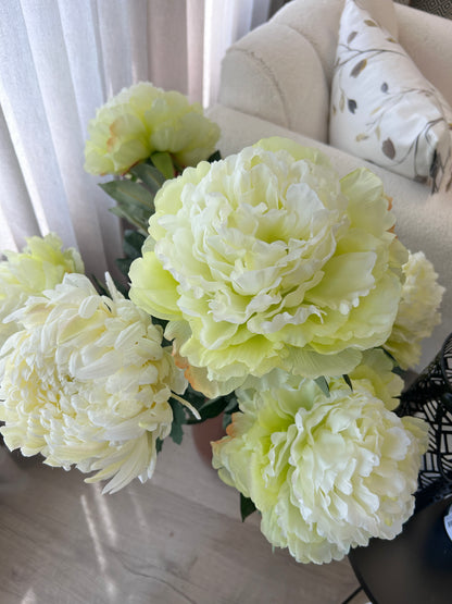 Lime-Lite Peony