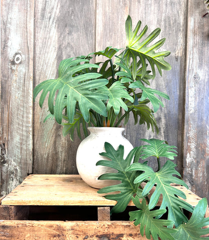 Faux Monstera Leaf