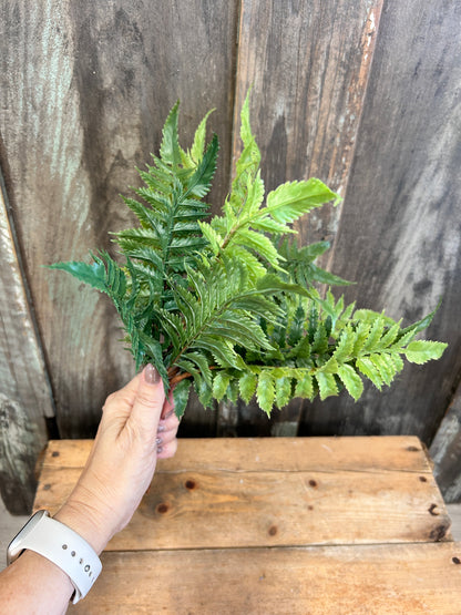 Fresh Touch Fern Stem