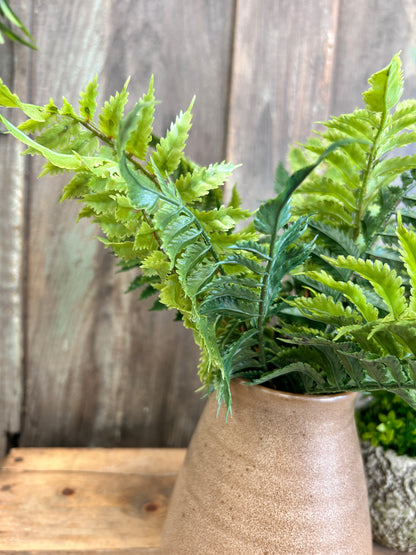 Fresh Touch Fern Stem