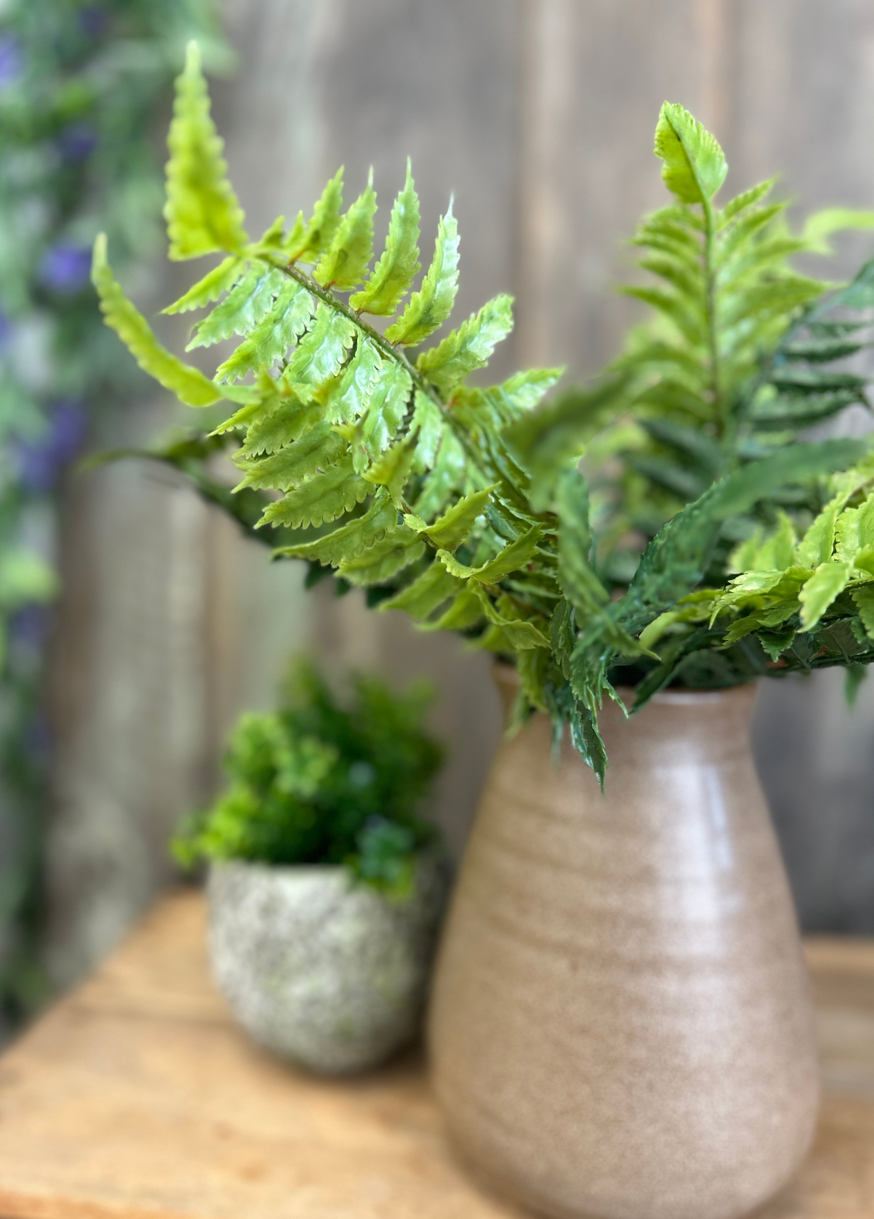 Fresh Touch Fern Stem