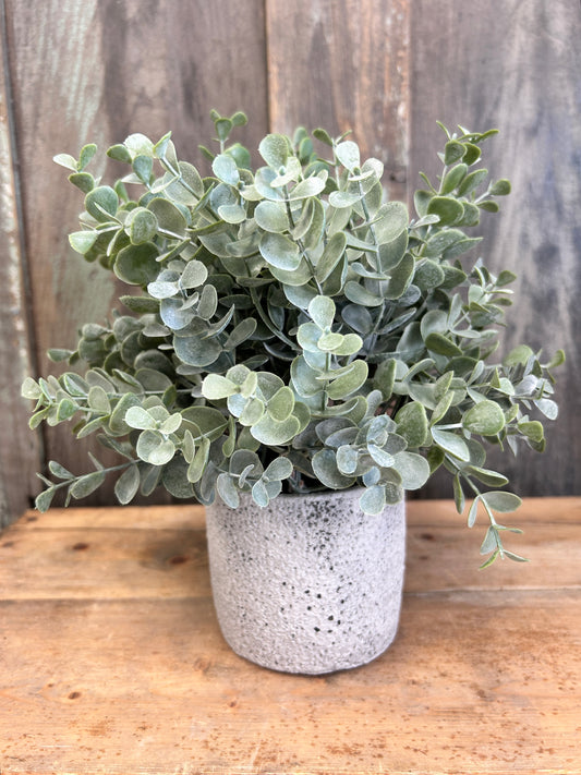 Potted Eucalyptus Faux Plant