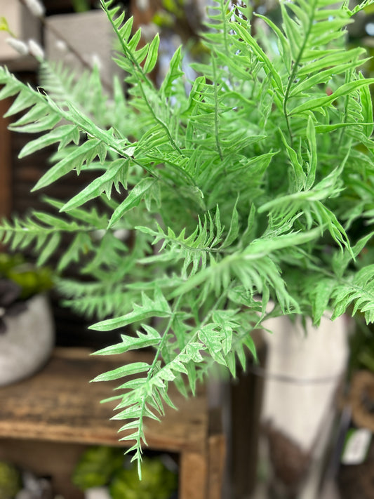 Soft Touch Fern Pick
