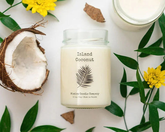 A soy wax candle in a clear glass jar with a black lid, labeled 'Decor Chic Living' and the scent 'Satsuma'. The candle is displayed on a wooden surface with greenery in the background.