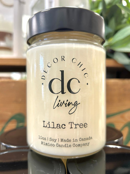 A soy wax candle in a clear glass jar with a black lid, labeled 'Decor Chic Living' and the scent 'Satsuma'. The candle is displayed on a wooden surface with greenery in the background.