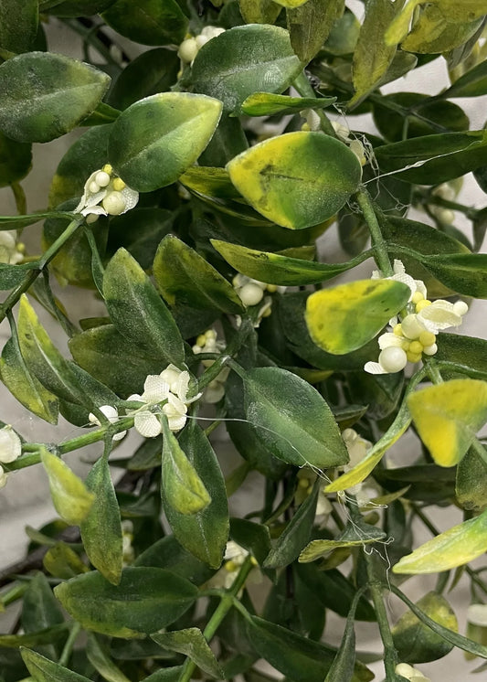 Orange Jasmine Wreath