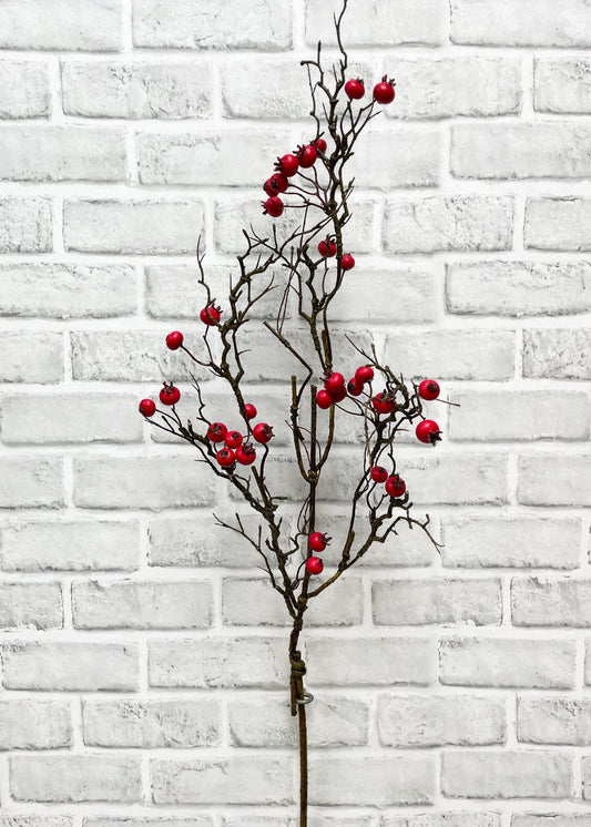 Outdoor Matt Red Twiggy Berry Spray