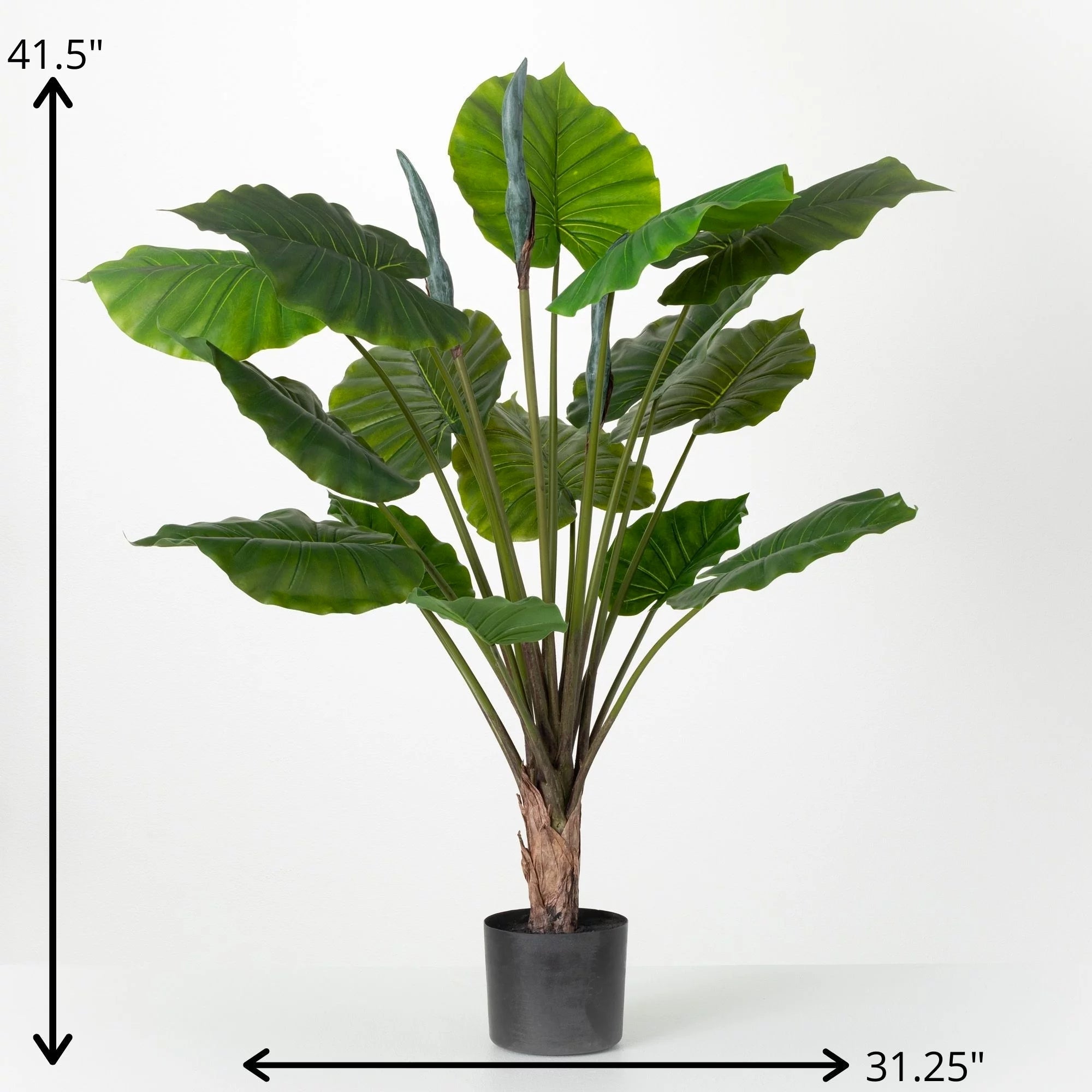 Potted Syngonium Palm