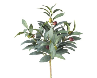 Olive Stem 15''