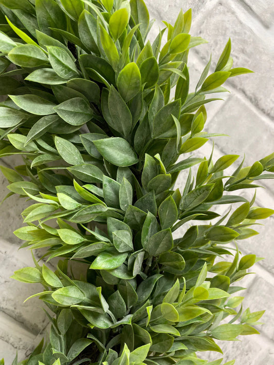 Ruscus Wreath