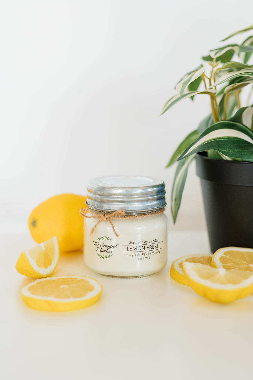 Jar of lemon-scented candle with lemons and a plant on a white surface