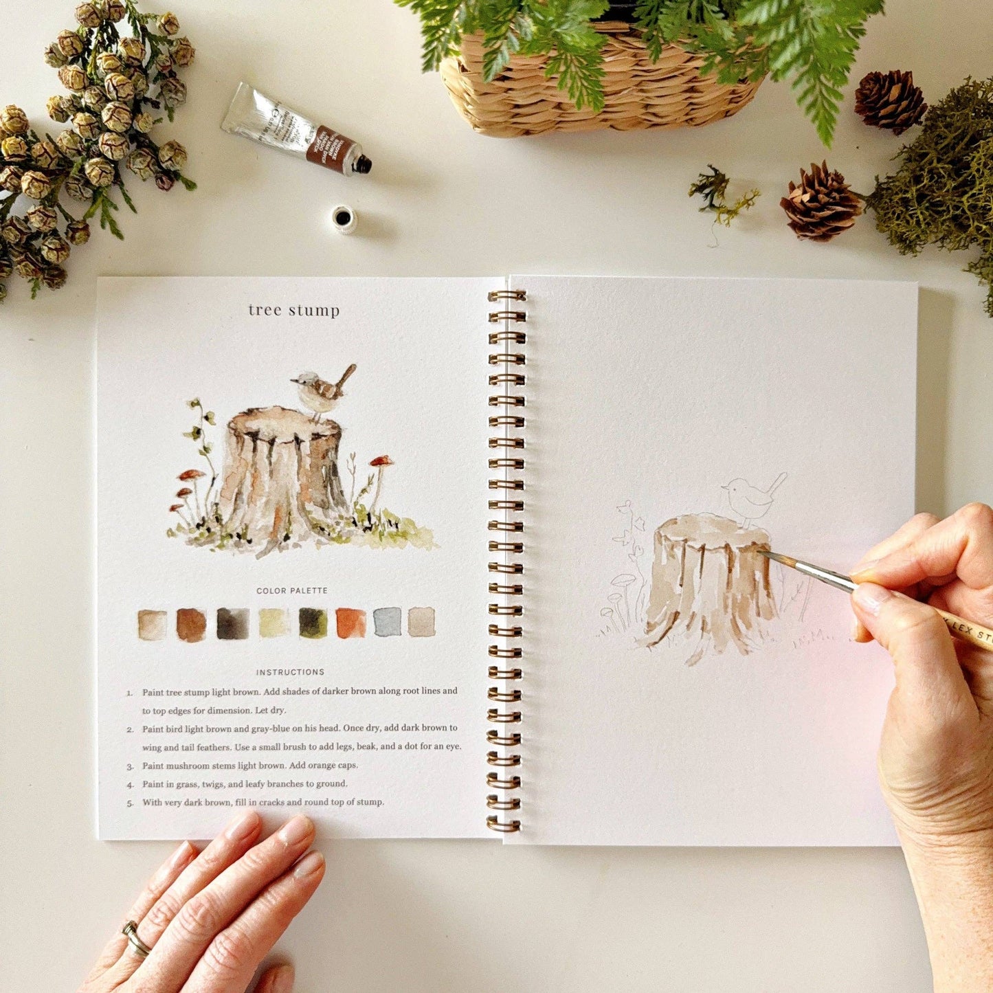 Emily Lex Watercolor Woodland Workbook