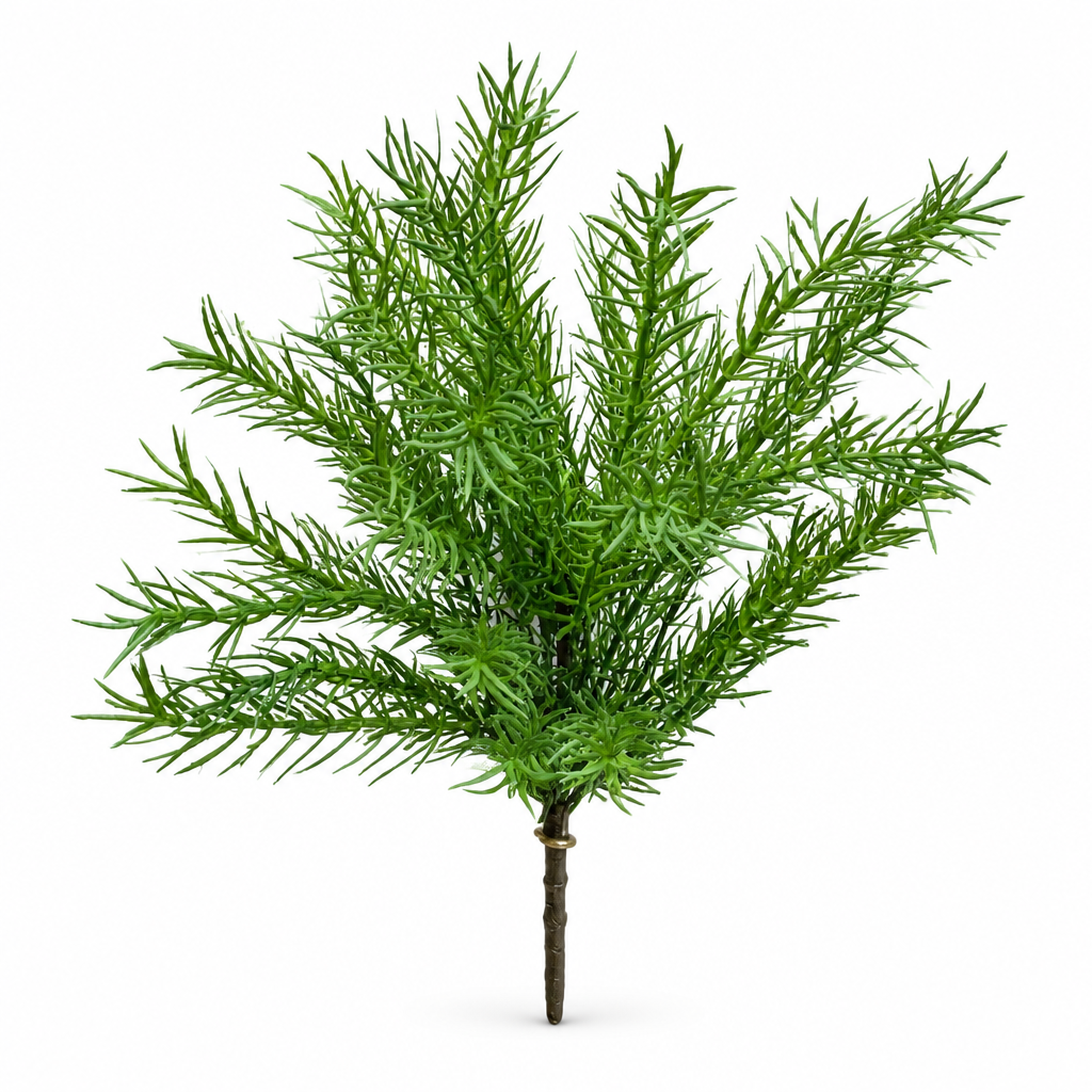Fresh Touch Asparagus Fern Bush