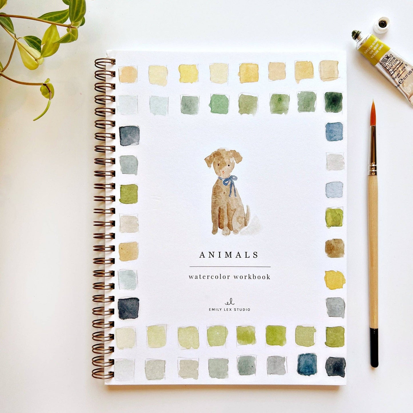 Emily Lex Watercolor Animal Workbook