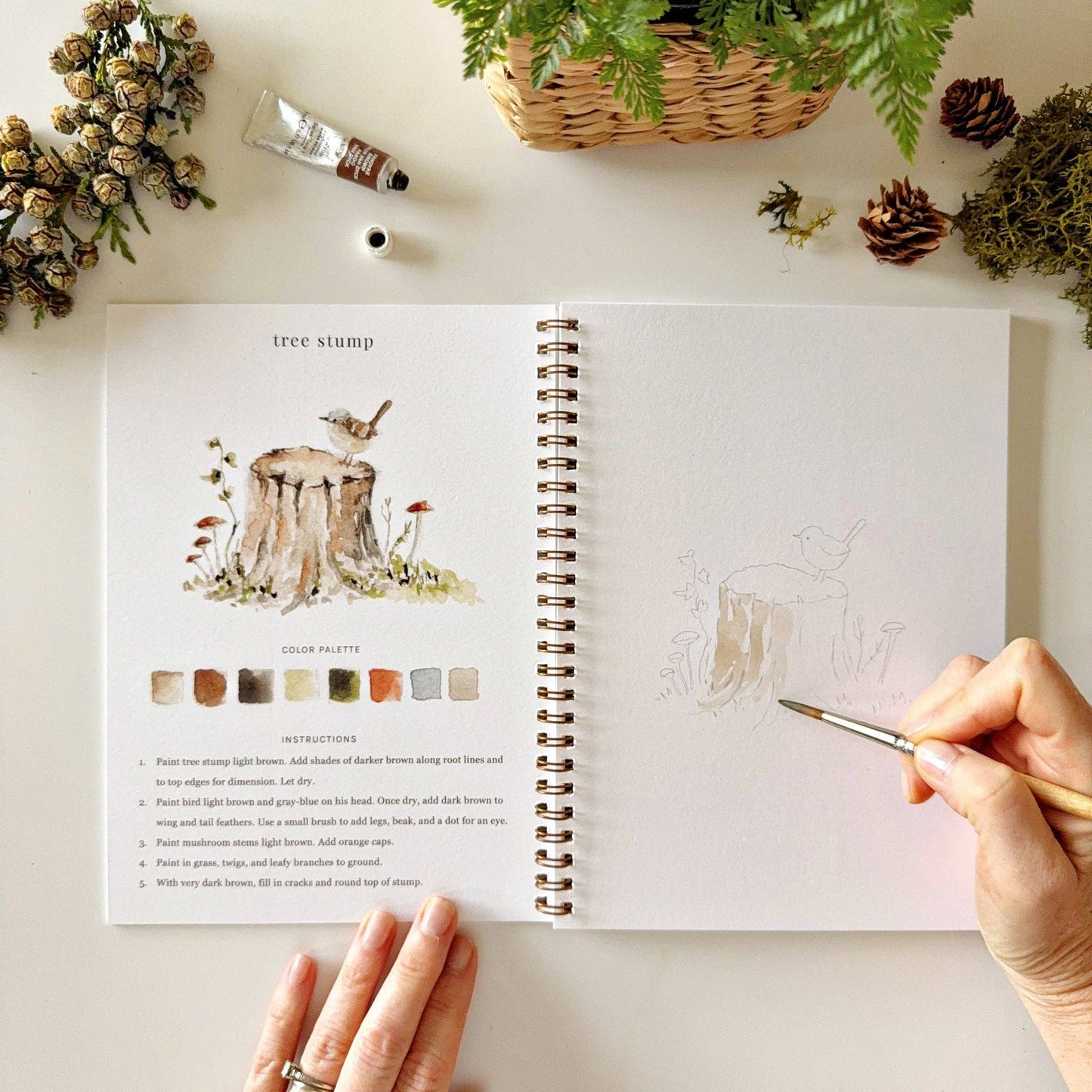 Emily Lex Watercolor Woodland Workbook