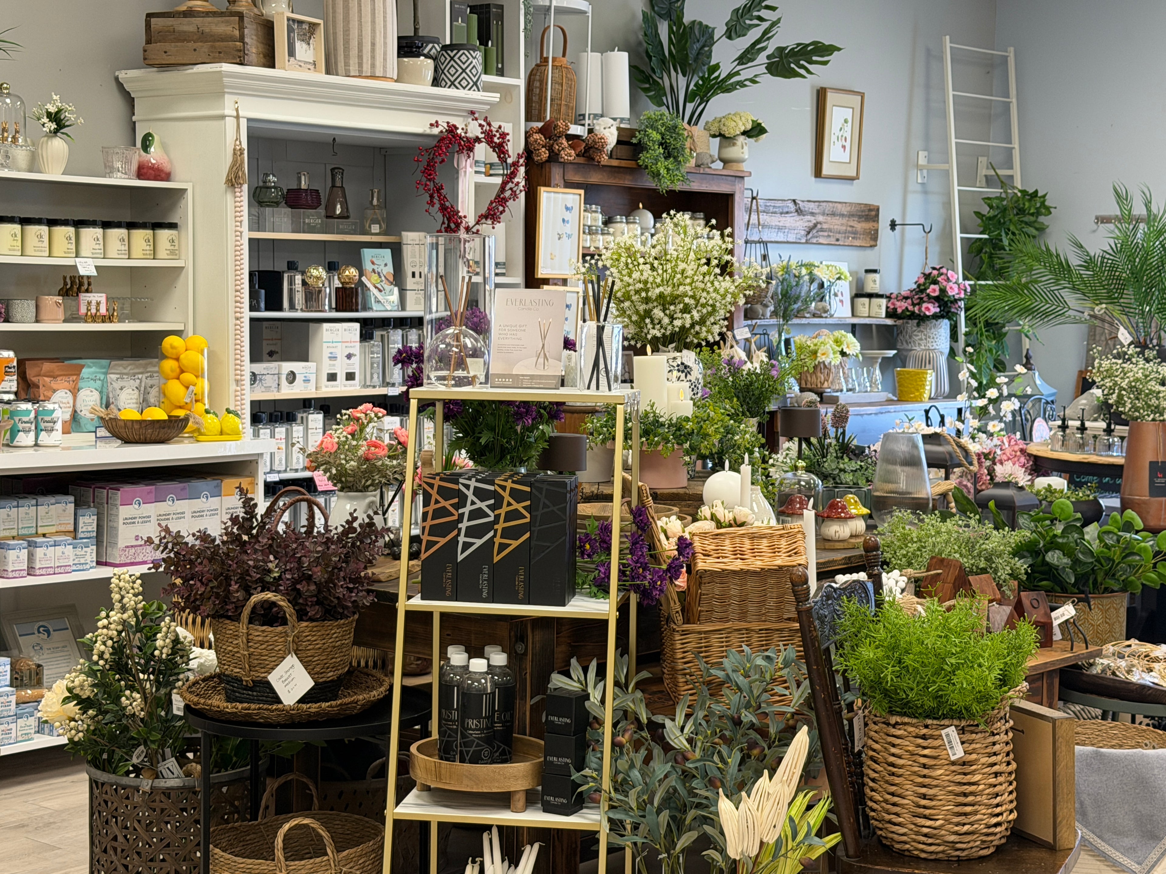 A beautifully styled home decor and floral shop interior filled with potted green plants, wicker baskets, candles, and various decorative items on shelves and tables.