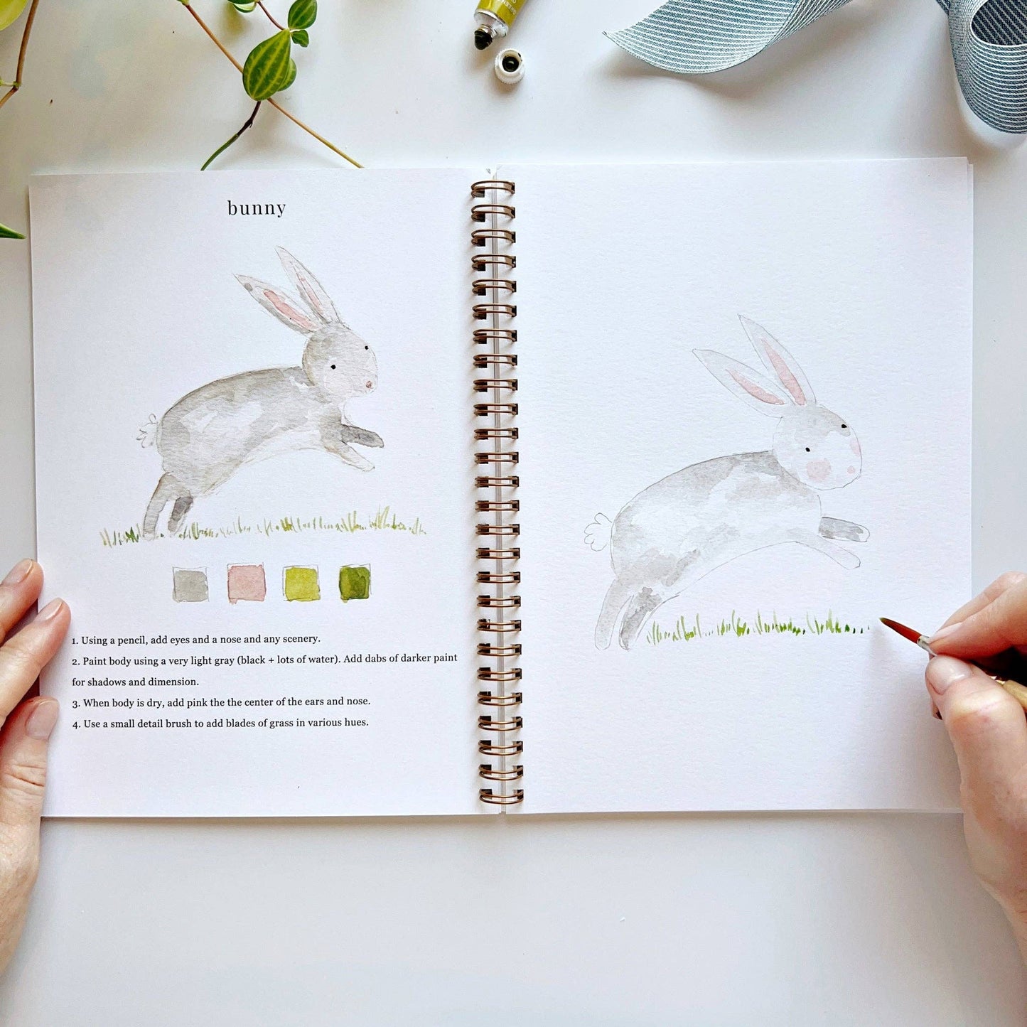 Emily Lex Watercolor Animal Workbook
