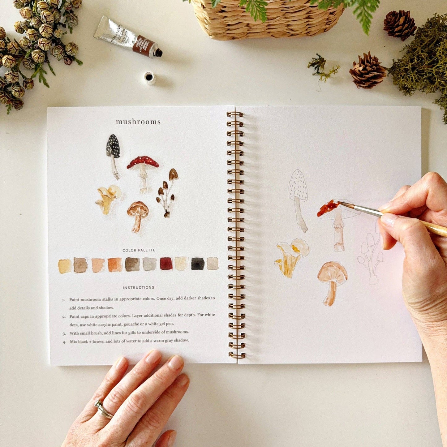 Emily Lex Watercolor Woodland Workbook