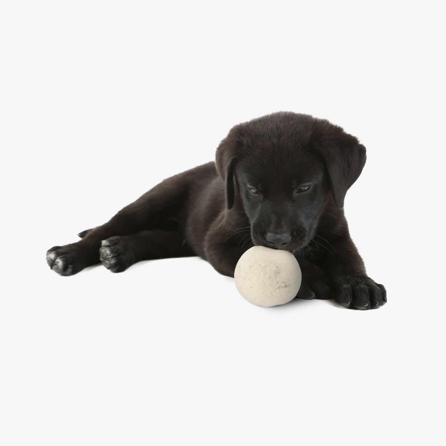 Woolf - Wool Ball for Dogs | Set of 2 | Natural Fetch Toy