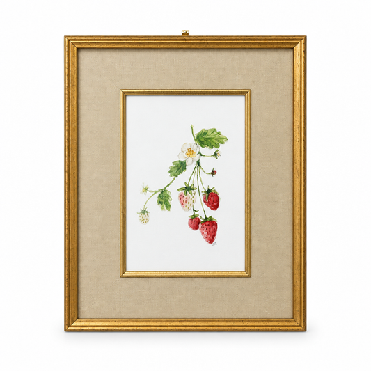 Emily Lex Framed Strawberry Watercolour Print