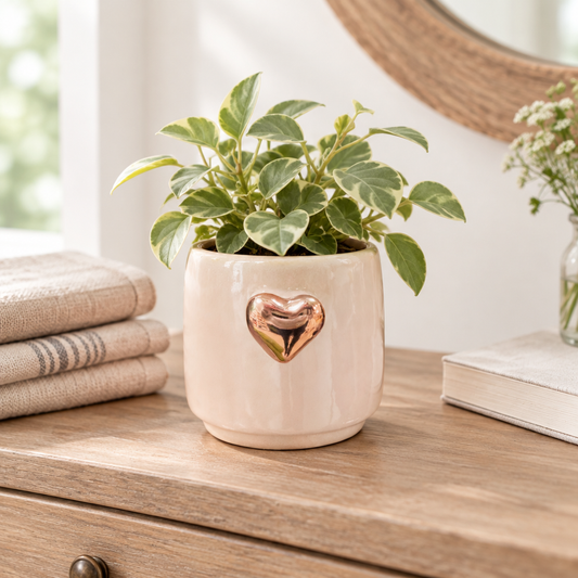 Lovely Heart Pot