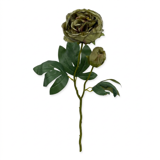 British Peony