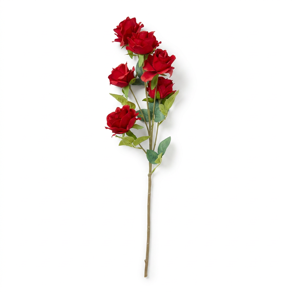 Princess Rose 25'' Spray X 6 Red
