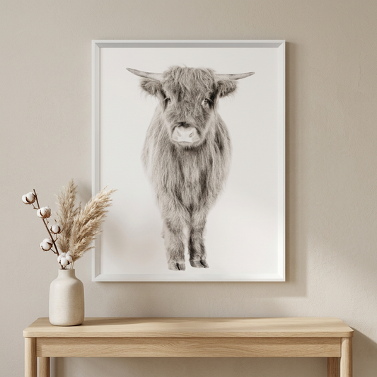 Highland Calf Print