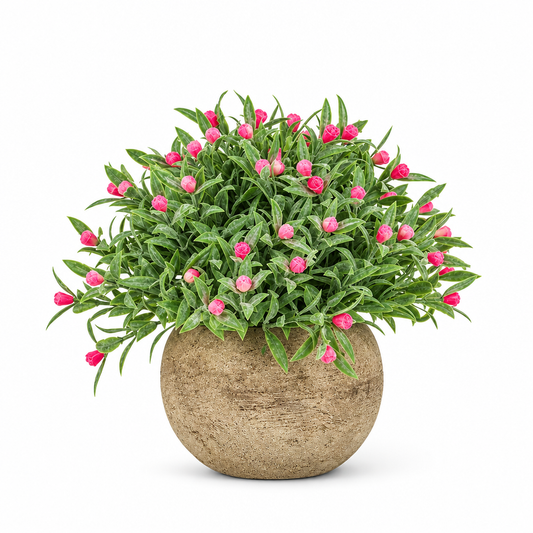 Little Pink Buds Potted Plant