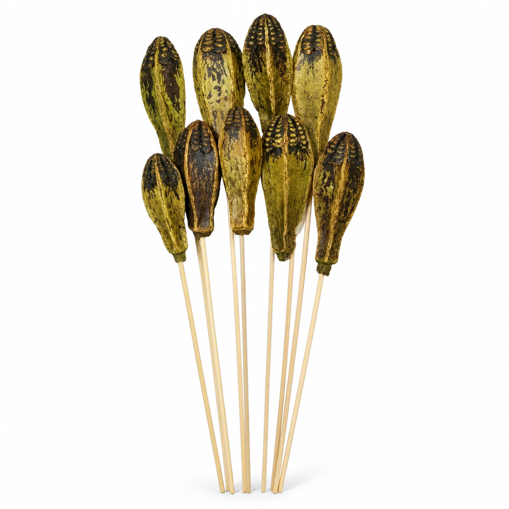 Mahogany Pods - Moss Green
