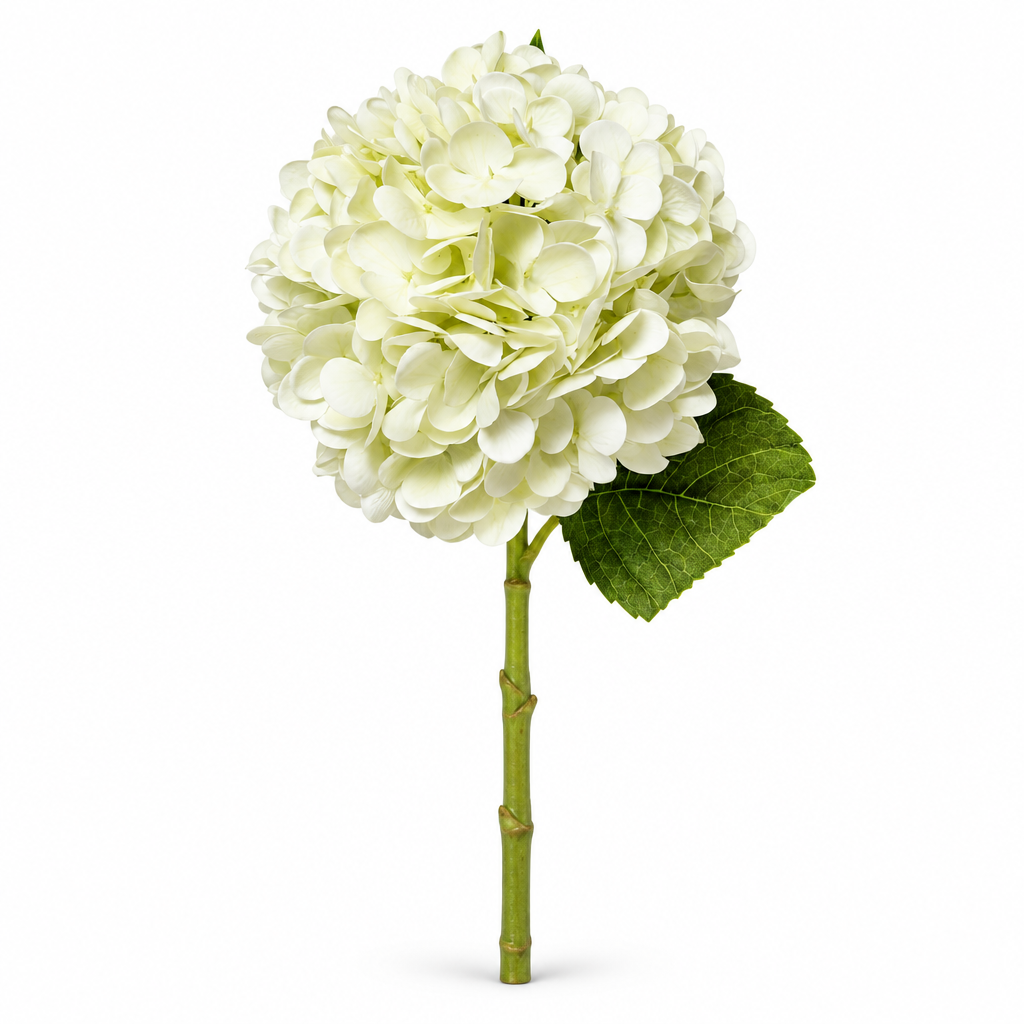 Fresh Touch White/Green Hydrangea
