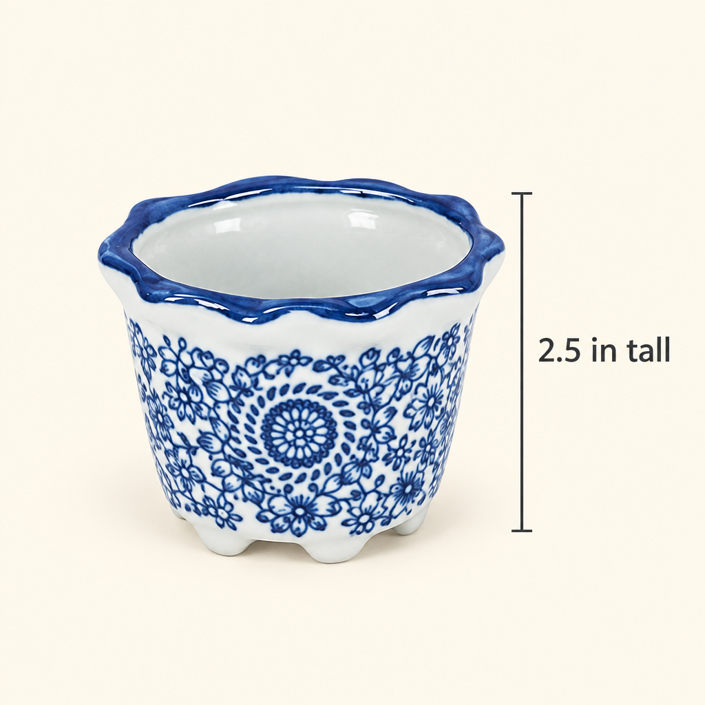 Single porcelain pot with a 2.5-inch height marker